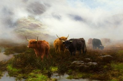 Moorland und Nebel von Peter Graham