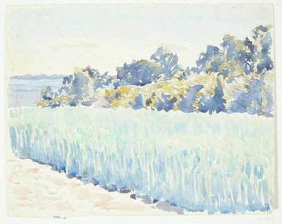 Landschaft auf Fünen. Kornfeld am Waldrand von Peter Hansen