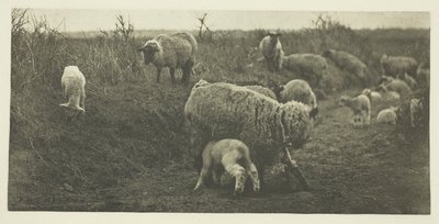 Eine Märchenpastorale (Suffolk) von Peter Henry Emerson