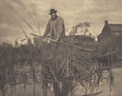 Das Gladdon schneiden von Peter Henry Emerson