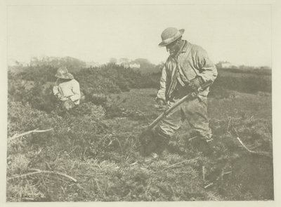 Ginster-Schneiden auf einem Suffolk-Gemeindeplatz von Peter Henry Emerson
