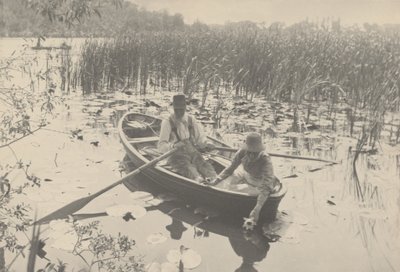 Seerosen sammeln von Peter Henry Emerson