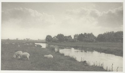 Am Fluss Bure von Peter Henry Emerson