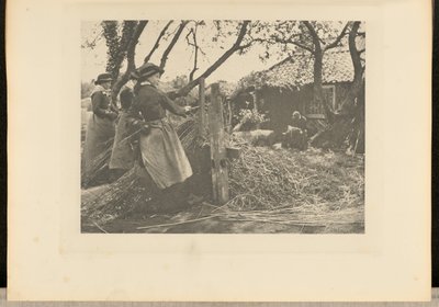 Weidenruten-Schälen. [Norfolk.] von Peter Henry Emerson