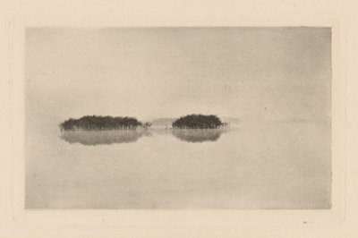 Die einsame Lagune von Peter Henry Emerson