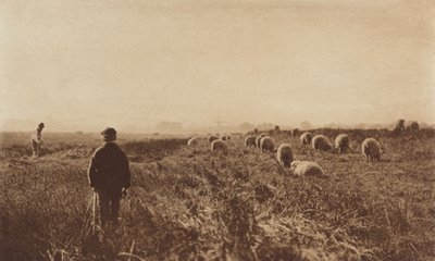 Die Sümpfe im Juni von Peter Henry Emerson