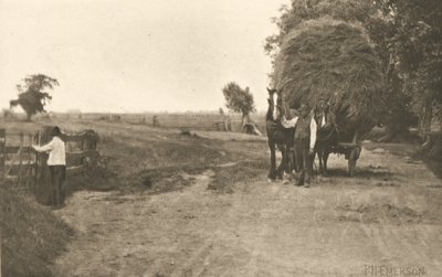 Der Reichtum des Marschlandes von Peter Henry Emerson