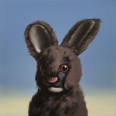 Hase von Peter Jones