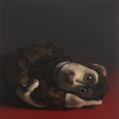 Toby Affe von Peter Jones