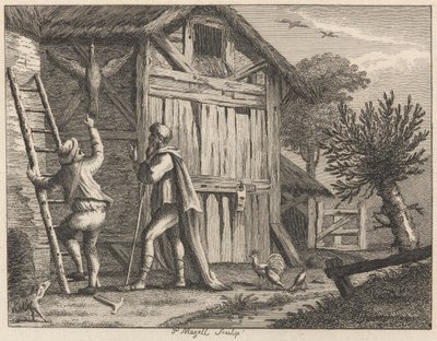 Pythagoras und der Landmann von Peter Mazell