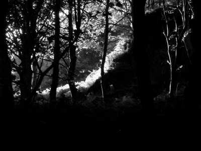KINTYRE... PLUS. 17 von Peter McClure
