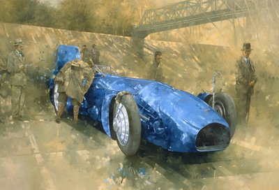 Bluebird in Brooklands von Peter Miller