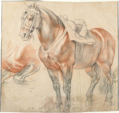 Gesatteltes Pferd von Peter Paul Rubens