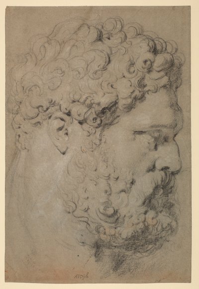 Kopf des Farnesischen Herkules von Peter Paul Rubens