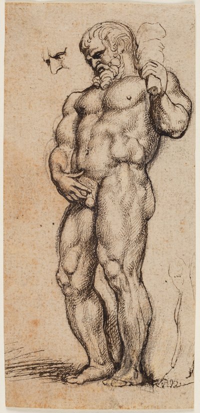 Herkules von Peter Paul Rubens