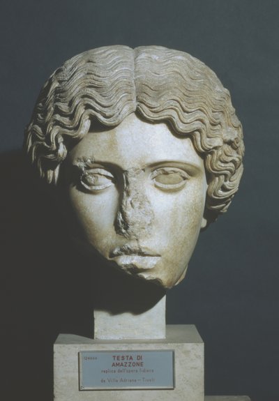Kopf einer Amazone von Phidias Phidias