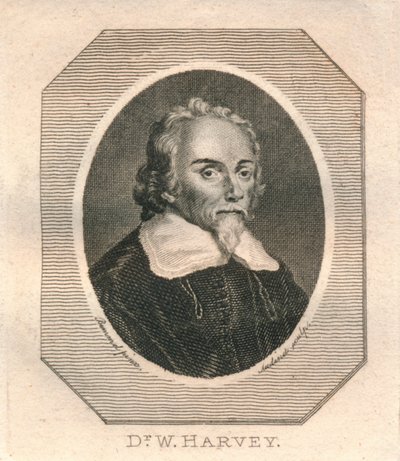 Dr. W. Harvey, um 1800 von Philip Audinet