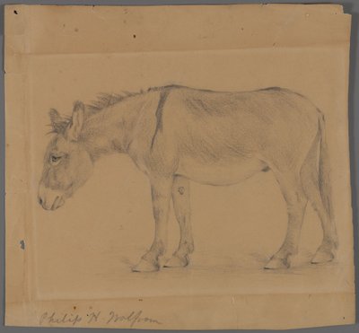 Esel von Philip H. Wolfrom