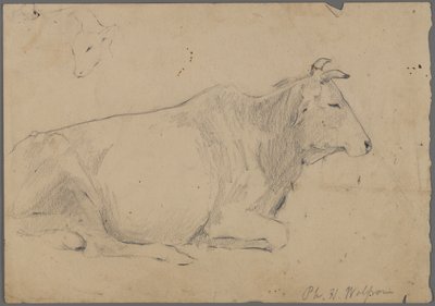 Sitzender Stier von Philip H. Wolfrom