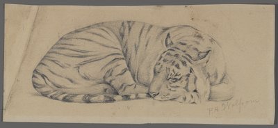 Schlafender Tiger von Philip H. Wolfrom