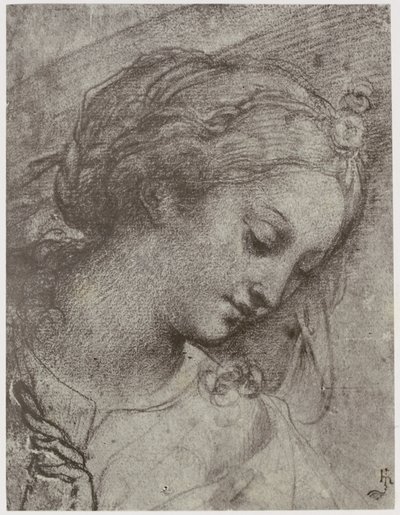 Carlo Dolci, Kopf der Jungfrau von Philip Henry Delamotte