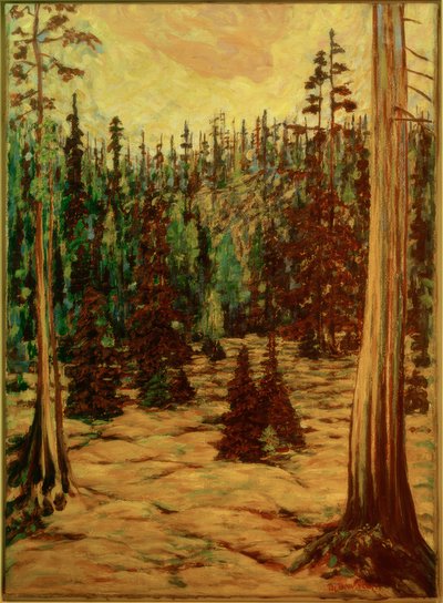 Sommerwald von Philipp Bauknecht