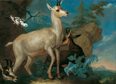 Drei Gemsen und eine Amsel von Philipp Ferdinand de Hamilton