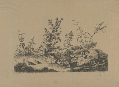 Landschaftsstudie mit Disteln und Fröschen von Philippe Cardon