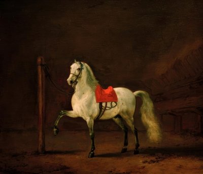 Ein Schimmel im Stall von Philips Wouwerman