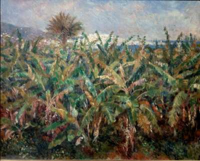Bananenfeld von Pierre Auguste Renoir