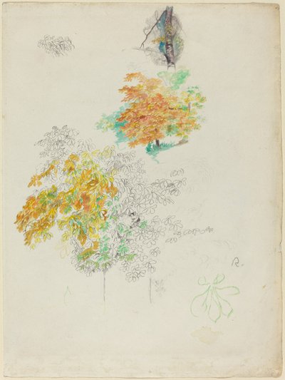 Studien von Bäumen von Pierre Auguste Renoir