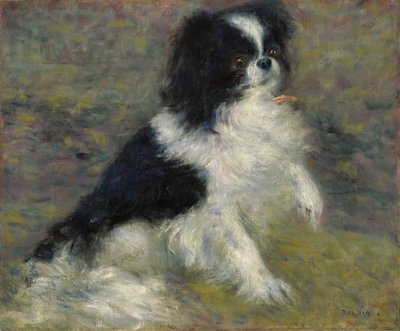 Tama, der japanische Hund, ca. 1876 von Pierre Auguste Renoir