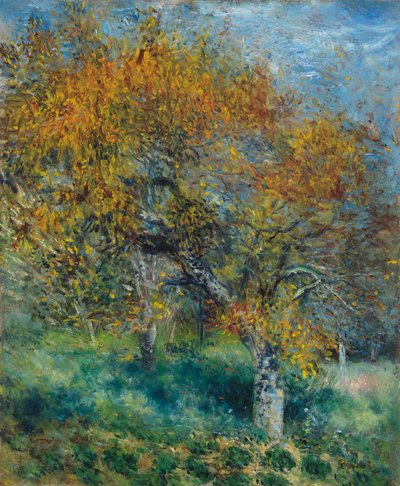 Der Birnbaum; Le Poirier, ca. 1870 von Pierre Auguste Renoir