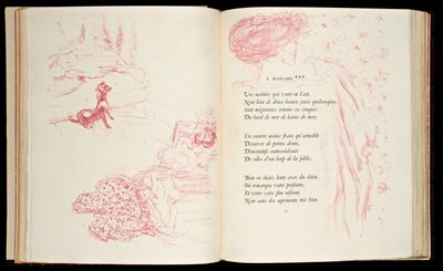 Illustration aus 