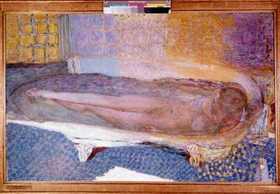 Akt in der Badewanne von Pierre Bonnard