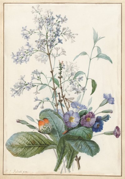 Ein Blumenstrauß mit Insekten von Pierre Joseph Redouté