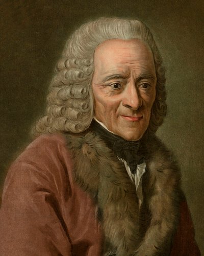 Porträt von Voltaire von Pierre Michel Alix