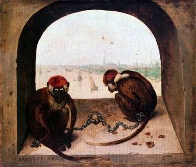 Zwei Affen von Pieter Bruegel the Elder