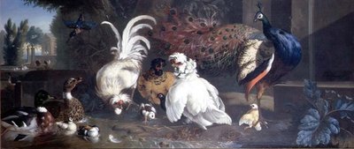 Ein Pfau, Hühner, Enten und ein Eisvogel von Pieter Casteels