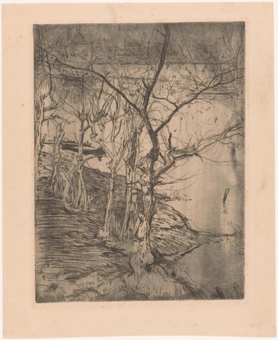Kahle Bäume am Wasser von Pieter Dupont