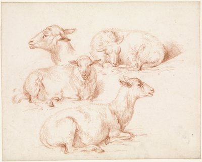 Studienblatt mit Schafen von Pieter Jan Guise