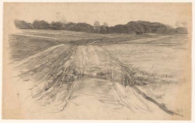 Landweg durch das offene Feld von Pieter de Josselin