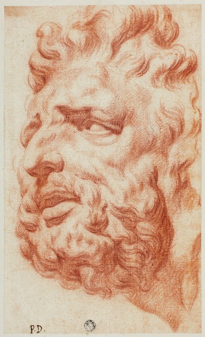 Kopf des Laokoon von Pietro Dandini