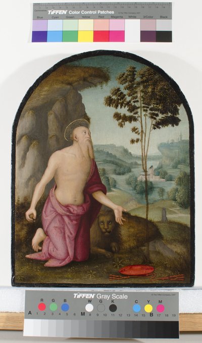 Heiliger Hieronymus in der Wildnis von Pietro Perugino