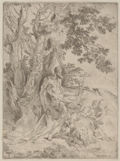 Heiliger Hieronymus von Pietro Testa