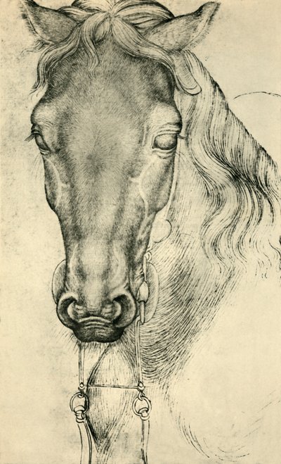 Kopf eines Pferdes, ca. 1420-1455, 1943 von Antonio Pisanello