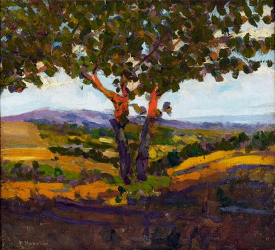Der Gruß der Sonne, 1902 von Plinio Nomellini