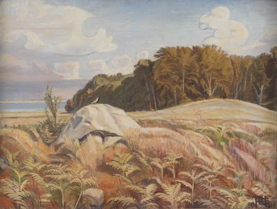 Steingrab am Waldrand. Dyrnæs von Poul S. Christiansen