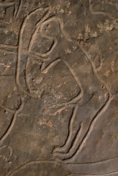 Menschliche Figur und Stierkopf (Felsgravur) von Prehistoric