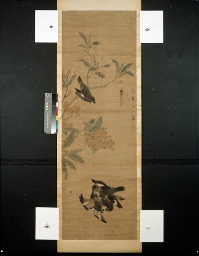 Vögel und Zweig von Qing Dynasty Chinese School